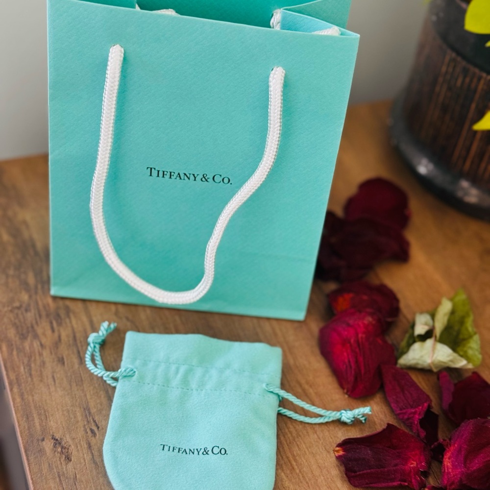Tiffany & Co. Turquoise Bag and Pouch Set